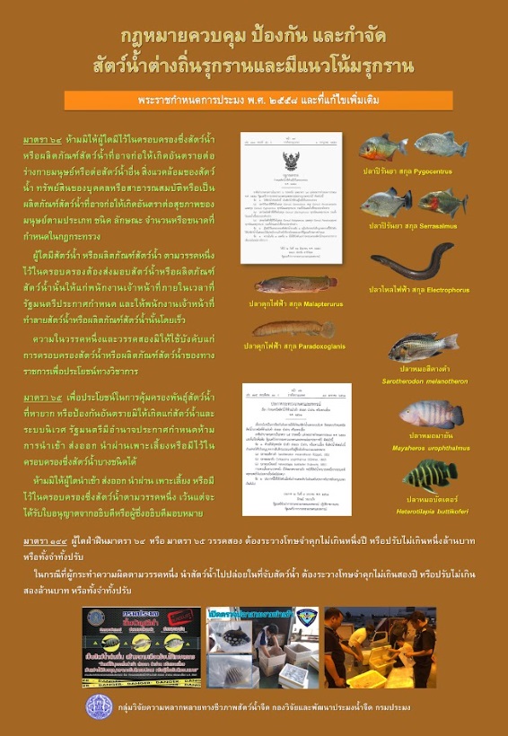 หยุด....การแพร่กระจายชนิดพันธุ์สัตว์น้ำต่างถิ่น “ ไม่นำเข้า ไม่ครอบครอง  ไม่เลี้ยง ไม่แจกจ่าย ไม่ปล่อยลงในแหล่งน้ำธรรมชาติ ”..คลิก