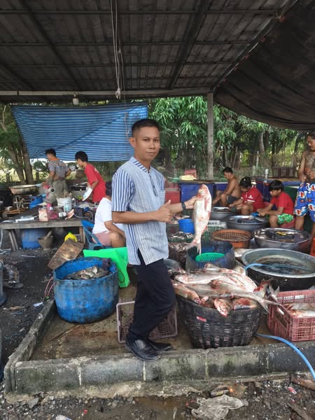 ออกสำรวจการนำเข้าผลผลิตสัตว์น้ำนอกจากพื้นที่มายังอำเภอขุขันธ์..คลิก