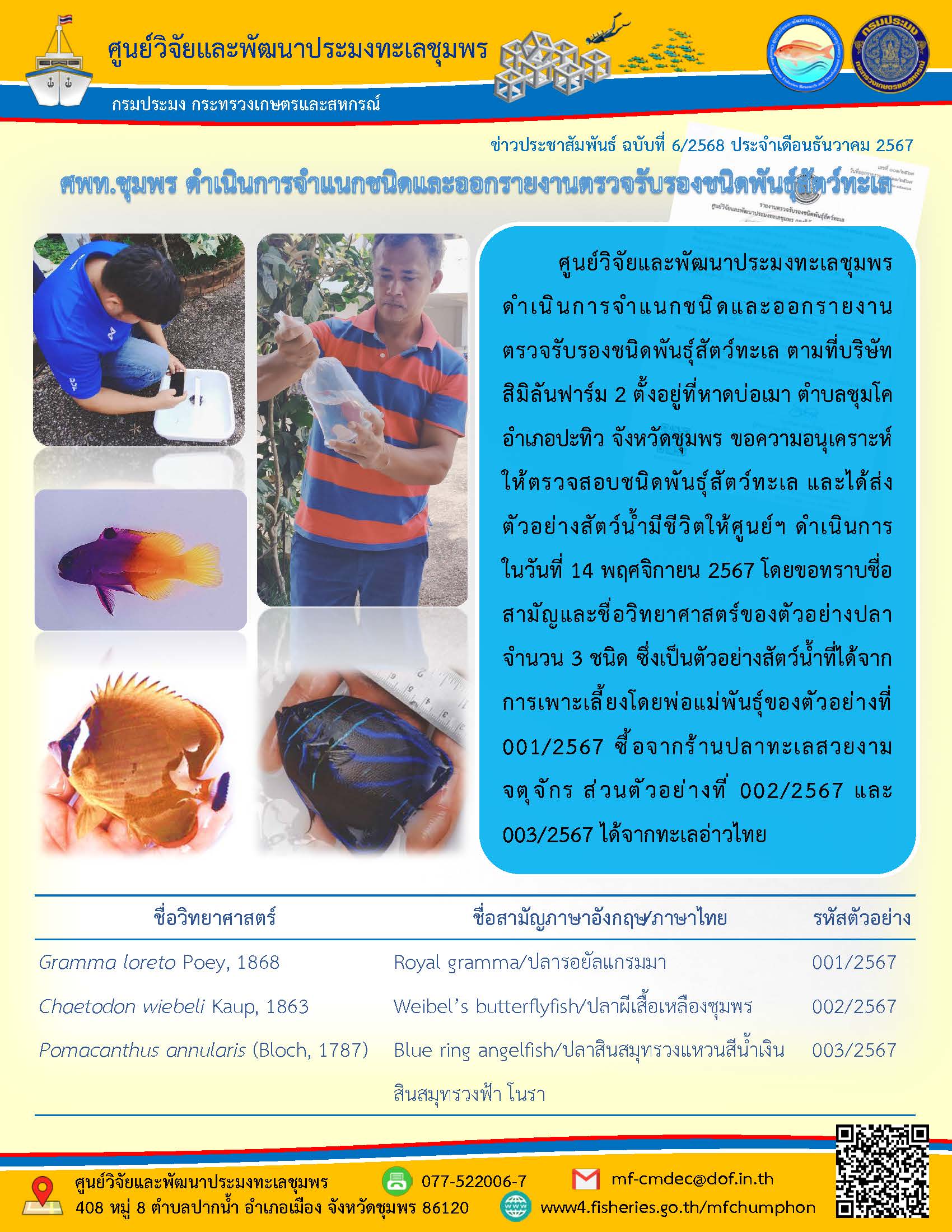 ศูนย์วิจัยและพัฒนาประมงทะเลชุมพรดำเนินการจำแนกชนิดและออกรายงานตรวจรับรองชนิดพันธุ์สัตว์ทะเล ตามที่บริษัทสิมิลันฟาร์ม 2 ตั้งอยู่ที่หาดบ่อเมา ตำบลชุมโคอำเภอปะทิว จังหวัดชุมพร ขอความอนุเคราะห์ให้ตรวจสอบชนิดพันธุ์สัตว์ทะเล และได้ส่ง ตัวอย่างสัตว์น้ำมีชีวิตให้ศูนย์ฯ ฯลฯ..คลิก