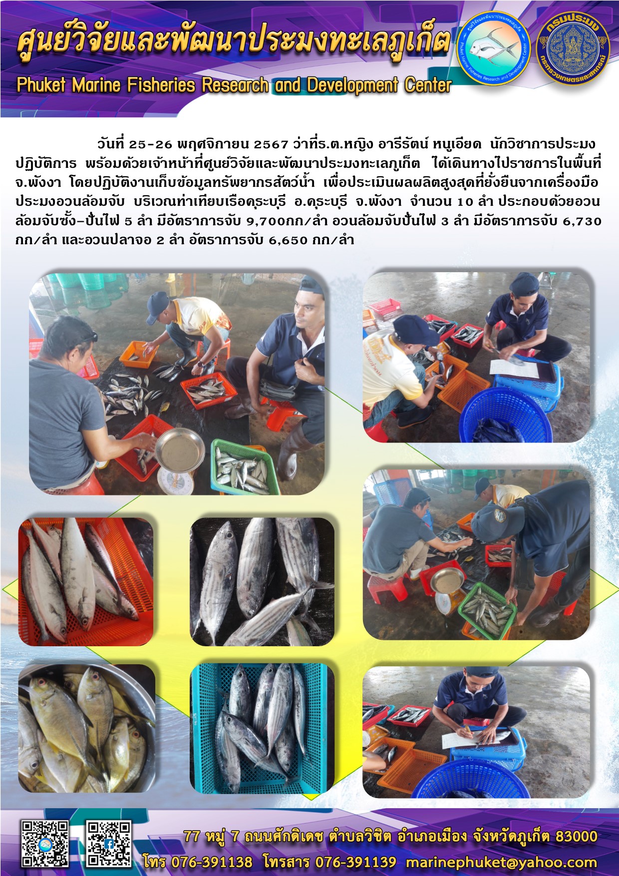 วันที่ 25-26 พฤศจิกายน 2567เจ้าหน้าที่ศูนย์วิจัยและพัฒนาประมงทะเลภูเก็ต  ได้เดินทางไปราชการในพื้นที่ จ.พังงา โดยปฏิบัติงานเก็บข้อมูลทรัพยากรสัตว์น้ำ เพื่อประเมินผลผลิตสูงสุดที่ยั่งยืนจากเครื่องมือประมงอวนล้อมจับ บริเวณท่าเทียบเรือคุระบุรี อ.คุระบุรี จ.พังงา 