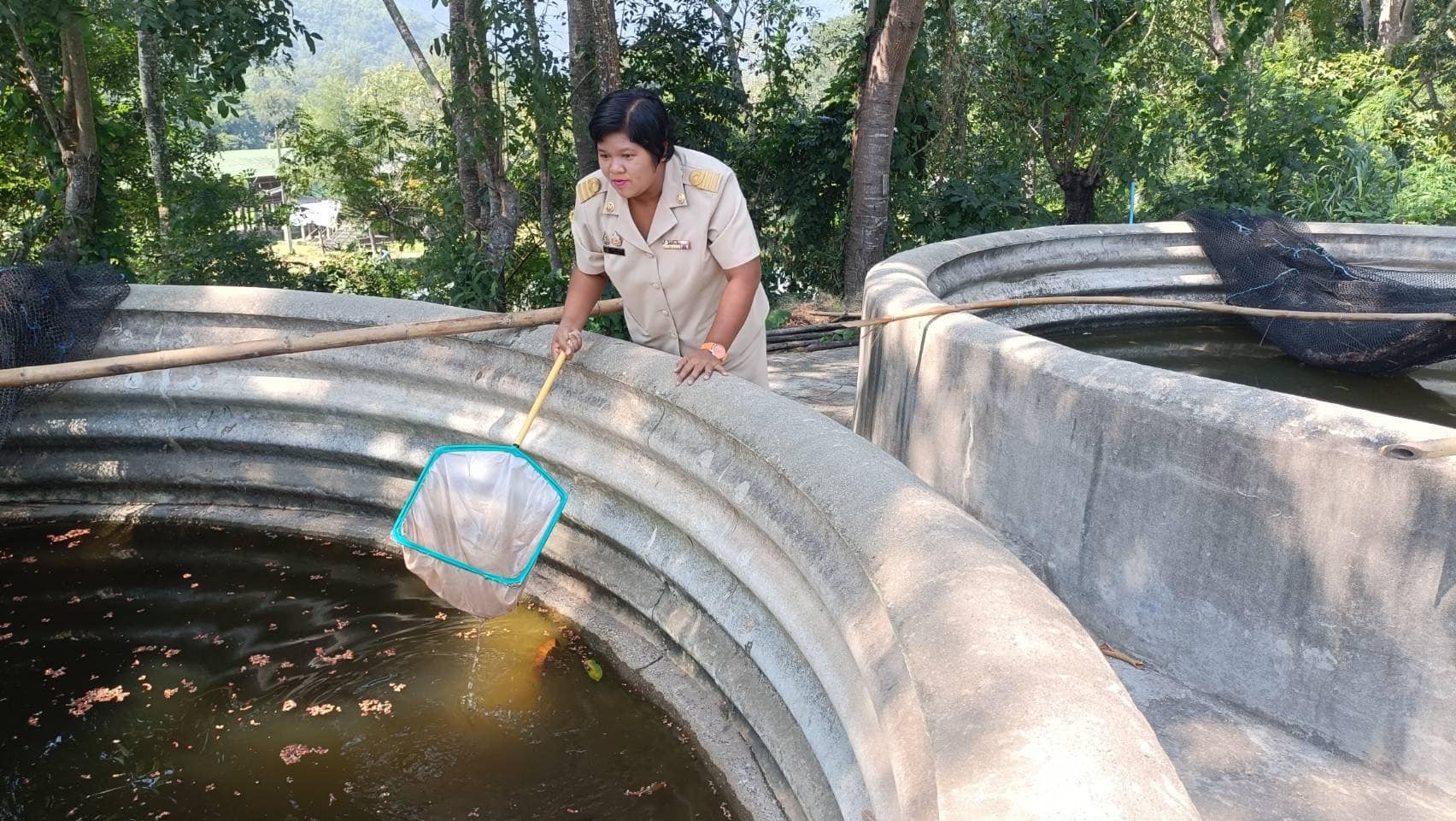 ลงพื้นที่โครงการฟาร์มตัวอย่างตามแนวพระราชดำริ บ้านบ่อหวี..คลิก