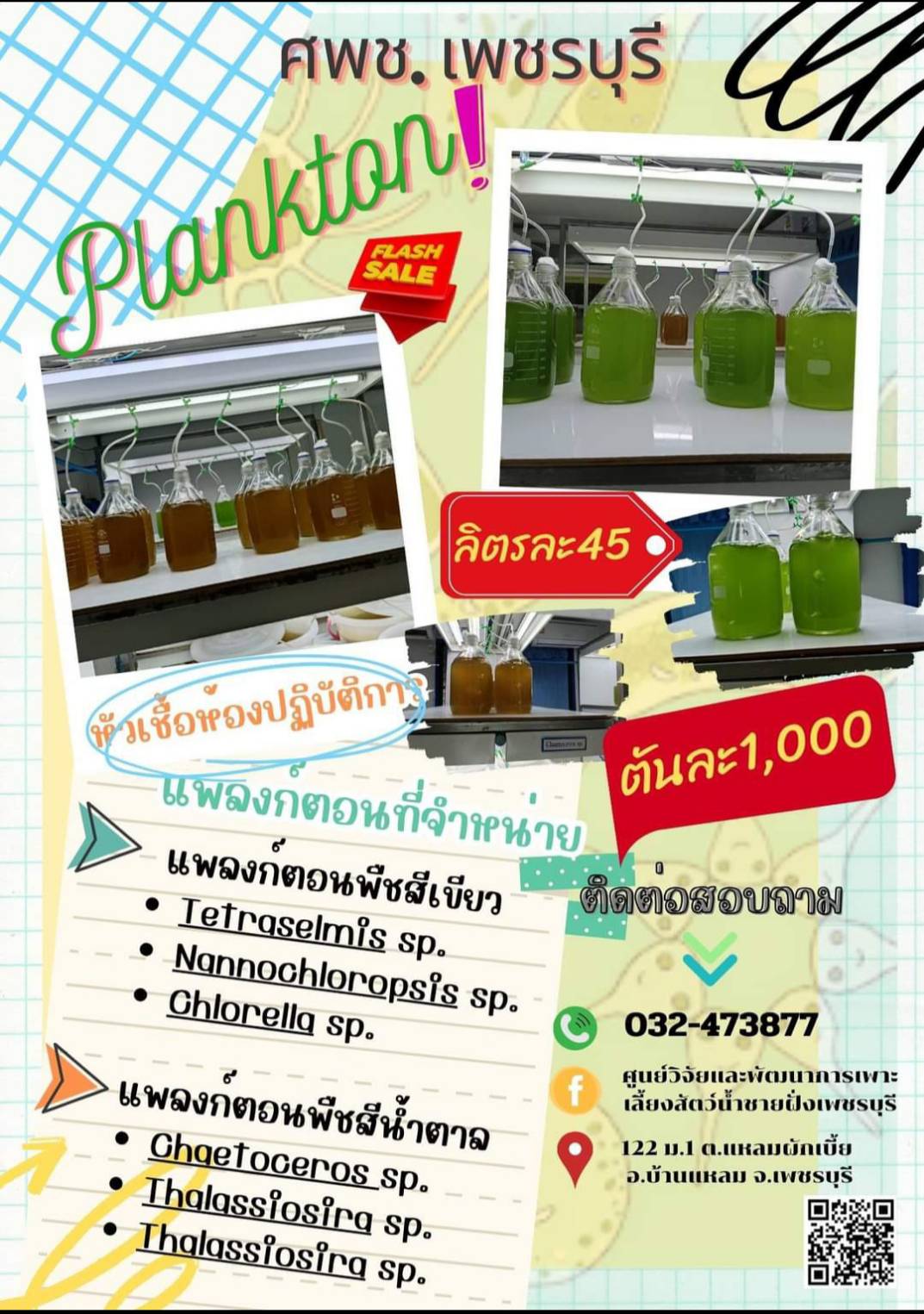 ศพช.พบ จำหน่ายแพงก์ตอนพืช..คลิก