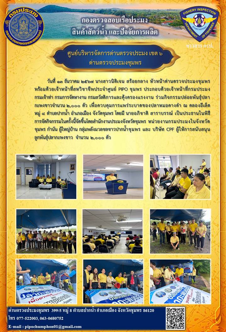 เมื่อวันที่ 13 ธันวาคม 2567 นางสาวนิติเจน สร้อยกลาง หัวหน้าด่านตรวจประมงชุมพร พร้อมด้วยเจ้าหน้าที่สหวิชาชีพประจำศูนย์ PIPO ชุมพร ประกอบด้วยเจ้าหน้าที่กรมประมง กรมเจ้าท่า กรมการจัดหางาน กรมสวัสดิการและคุ้งครองแรงงาน ร่วมกิจกรรมปล่อยพันธุ์ปลากะพงขาวจำนวน 2,000 ตัว เพื่อควบคุมการแพร่ระบาดของปลาหมอคางดำ..คลิก