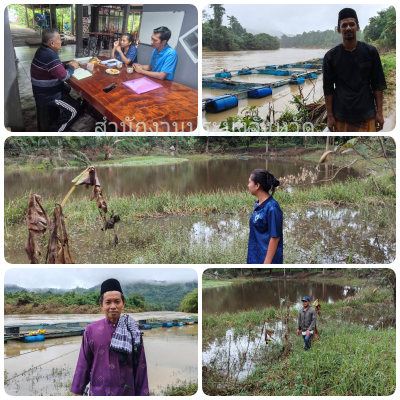 ผลการปฏิบัติงานประจำวันศุกร์ที่ 13 ธันวาคม 2567..คลิก