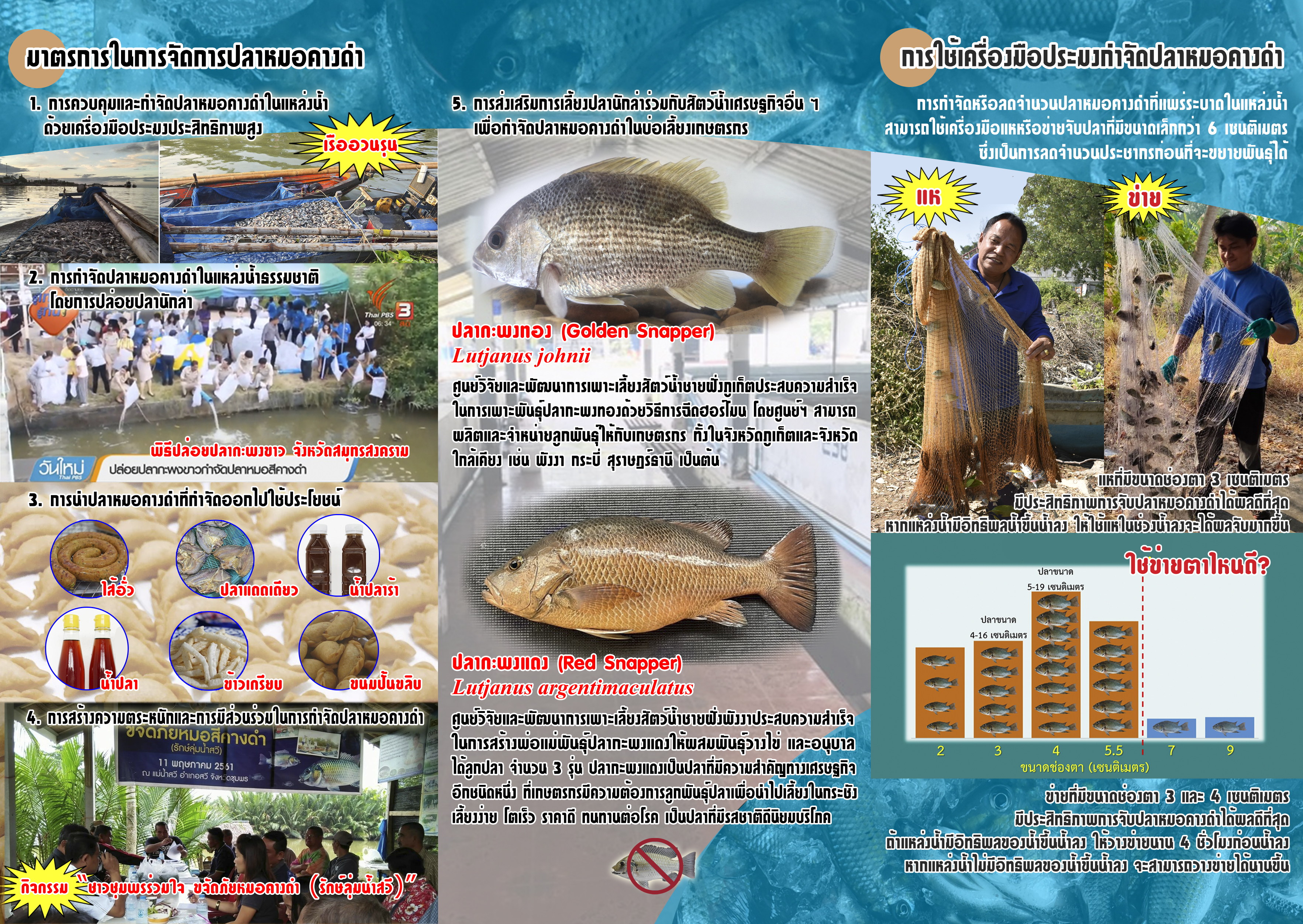 ข่าวประชาสัมพันธ์ ประชาสัมพันธุ์เรื่องสัตว์น้ำต่างถิ่นและปลาหมอคาง..คลิก