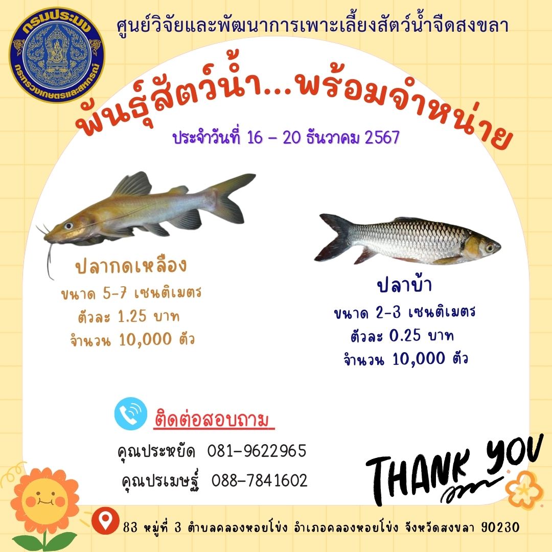 พันธุ์สัตว์น้ำพร้อมจำหน่าย