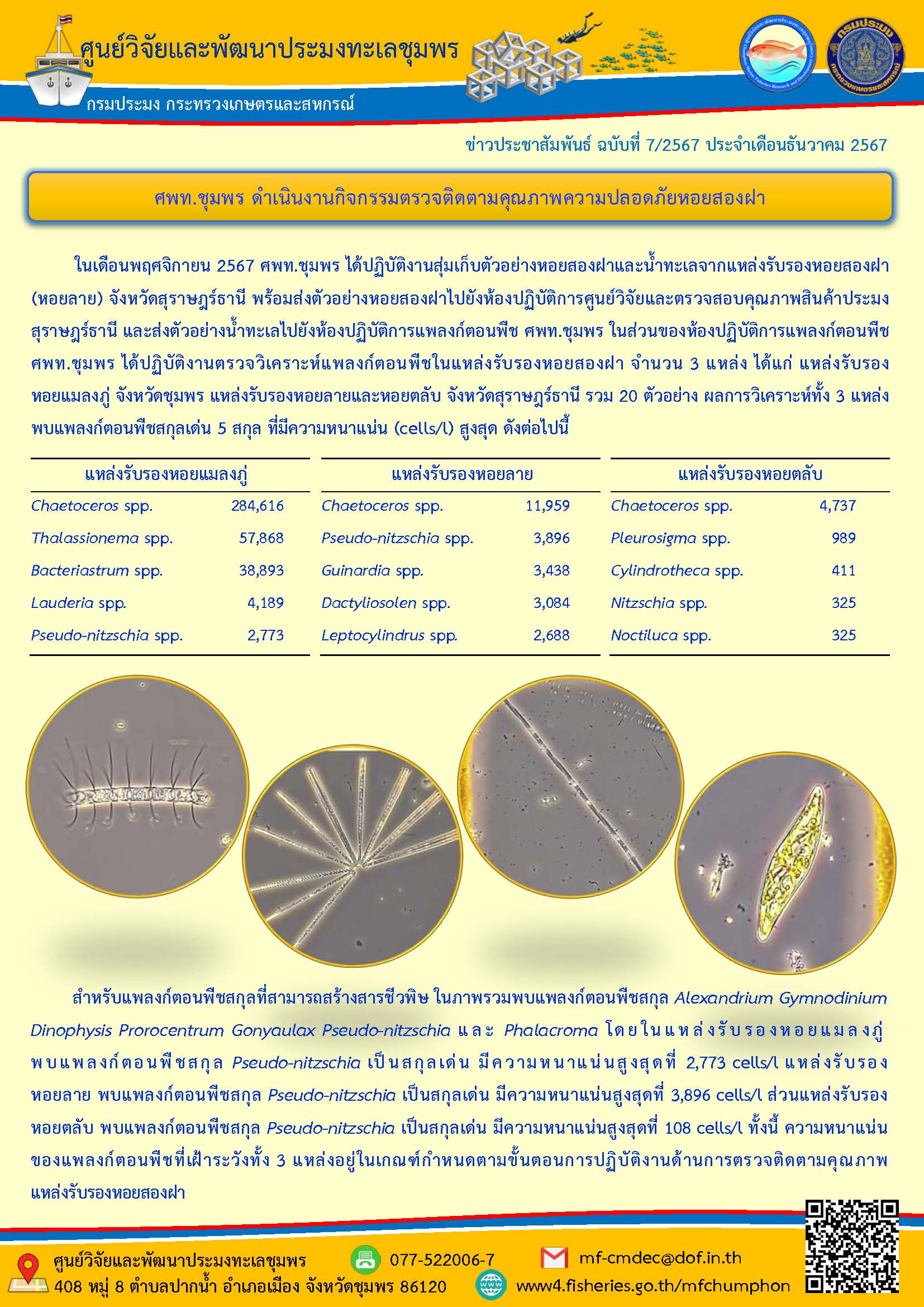 ในเดือนพฤศจิกายน 2567 ศพท.ชุมพร ได้ปฏิบัติงานสุ่มเก็บตัวอย่างหอยสองฝาและน้ำทะเลจากแหล่งรับรองหอยสองฝา (หอยลาย) จังหวัดสุราษฎร์ธานี พร้อมส่งตัวอย่างหอยสองฝาไปยังห้องปฏิบัติการศูนย์วิจัยและตรวจสอบคุณภาพสินค้าประมง สุราษฎร์ธานี และส่งตัวอย่างน้ำทะเลไปยังห้องปฏิบัติการแพลงก์ตอนพืช ศพท.ชุมพร ในส่วนของห้องปฏิบัติการแพลงก์ตอนพืชศพท.ชุมพร ได้ปฏิบัติงานตรวจวิเคราะห์แพลงก์ตอนพืชในแหล่งรับรองหอยสองฝา จำนวน 3 แหล่ง ฯลฯ
