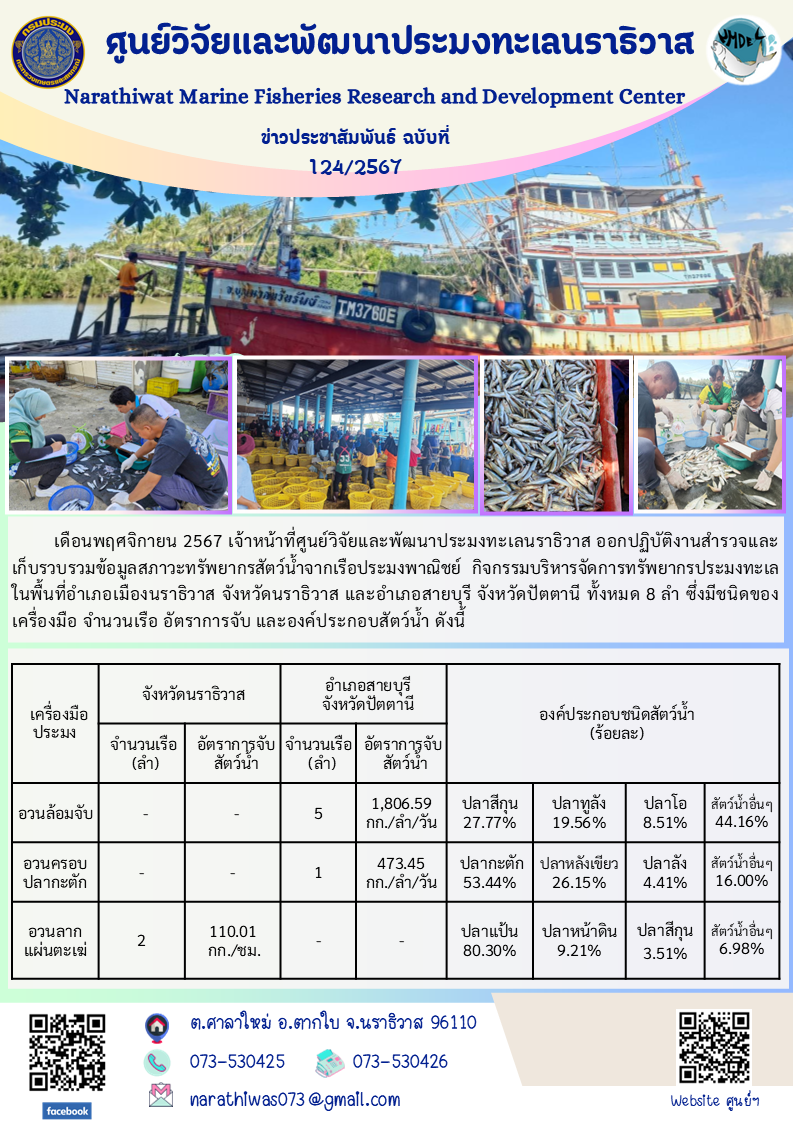 เดือนพฤศจิกายน 2567 เจ้าหน้าที่ศูนย์วิจัยและพัฒนาประมงทะเลนราธิวาส ออกปฏิบัติงานสำรวจและเก็บรวบรวมข้อมูลสภาวะทรัพยากรสัตว์น้ำจากเรือประมงพาณิชย์..คลิก