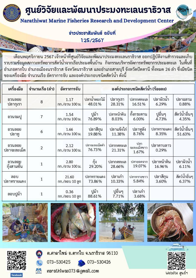 เดือนพฤศจิกายน 2567 เจ้าหน้าที่ศูนย์วิจัยและพัฒนาประมงทะเลนราธิวาส ออกปฏิบัติงานสำรวจและเก็บรวบรวมข้อมูลสภาวะทรัพยากรสัตว์น้ำจากเรือประมงพื้นบ้าน กิจกรรมบริหารจัดการทรัพยากรประมงทะเล ในพื้นที่อำเภอตากใบ อำเภอเมืองนราธิวาส จังหวัดนราธิวาส และอำเภอสายบุรี จังหวัดปัตตานี ทั้งหมด 26 ลำ ซึ่งมีชนิดของเครื่องมือ จำนวนเรือ อัตราการจับ และองค์ประกอบชนิดสัตว์น้ำ ดังนี้ ฯลฯ