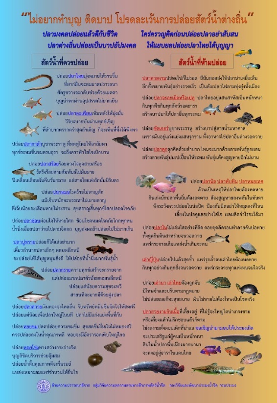ปล่อยปลาอย่างไรให้ได้บุญ..คลิก