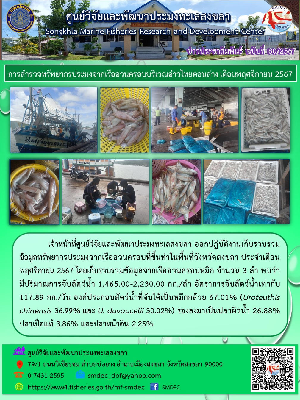 เจ้าหน้าที่ศูนย์วิจัยและพัฒนาประมงทะเลสงขลา ออกปฏิบัติงานเก็บรวบรวม ข้อมูลทรัพยากรประมงจากเรืออวนครอบที่ขึ้นท่าในพื้นที่จังหวัดสงขลา ประจำเดือนพฤศจิกายน 2567 โดยเก็บรวบรวมข้อมูลจากเรืออวนครอบหมึก จำนวน 3 ลำ พบว่า มีปริมาณการจับสัตว์น้ำ 1,465.00-2,230.00 กก./ลำ ฯลฯ