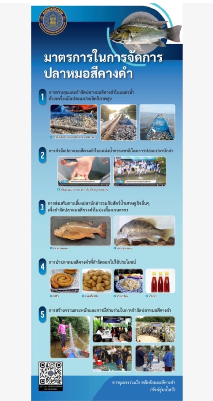 ประชาสัมพันธ์สัตว์น้ำต่างถิ่นและปลาหมอคางดำ เพื่อสร้างความรู้ ความตระหนัก และความร่วมมือในการเฝ้าระวังผลกระทบของสัตว์น้ำต่างถิ่นระหว่างภาคประชาชน หน่วยงานภาครัฐ และภาคเอกชน