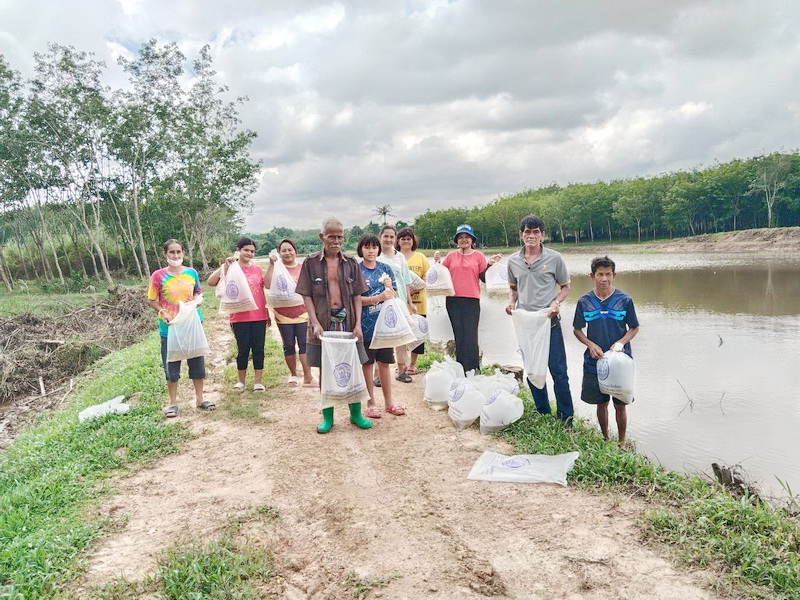 สนับสนุนพันธุ์ปลากินพืช เพื่อปล่อยลงสู่สระหาญใหญ่ อ.ป่าพะยอม จ.พัทลุง..คลิก