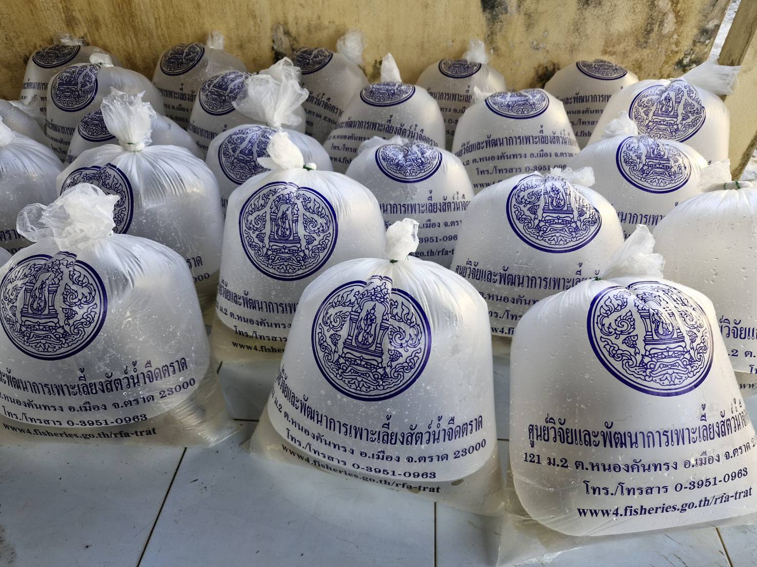 สนับสนุนพันธุ์สัตว์น้ำตามโครงการบริหารจัดการทรัพยากรประมง กิจกรรมบริหารจัดการทรัพยากรประมงน้ำจืด..คลิก