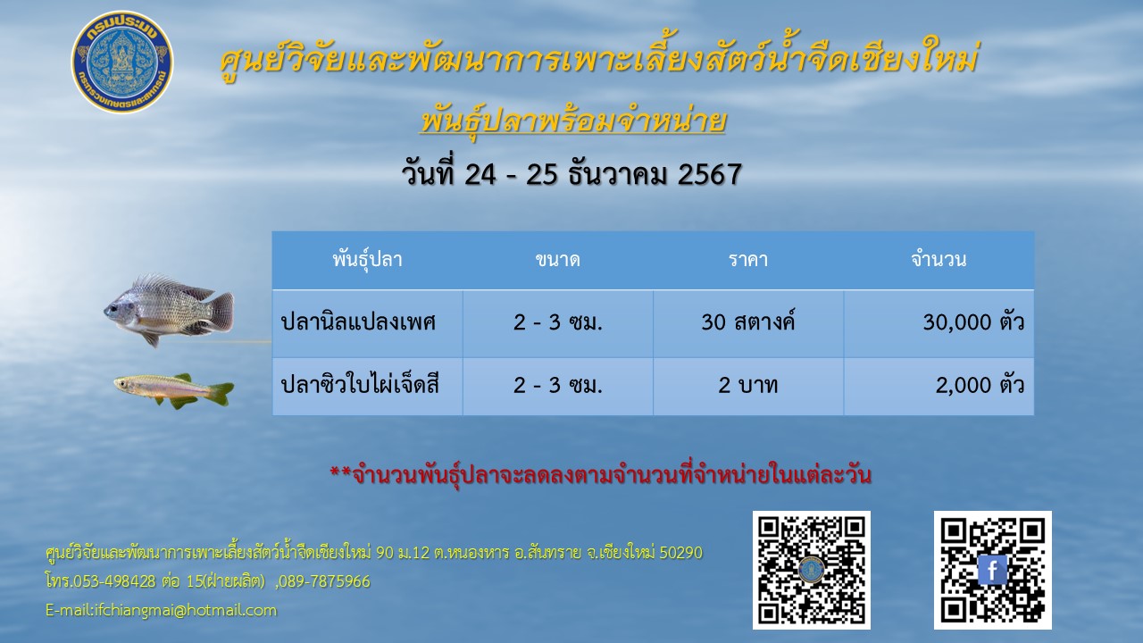 พันธุ์ปลาพร้อมจำหน่าย วันที่ 24-25 ธันวาคม 2567