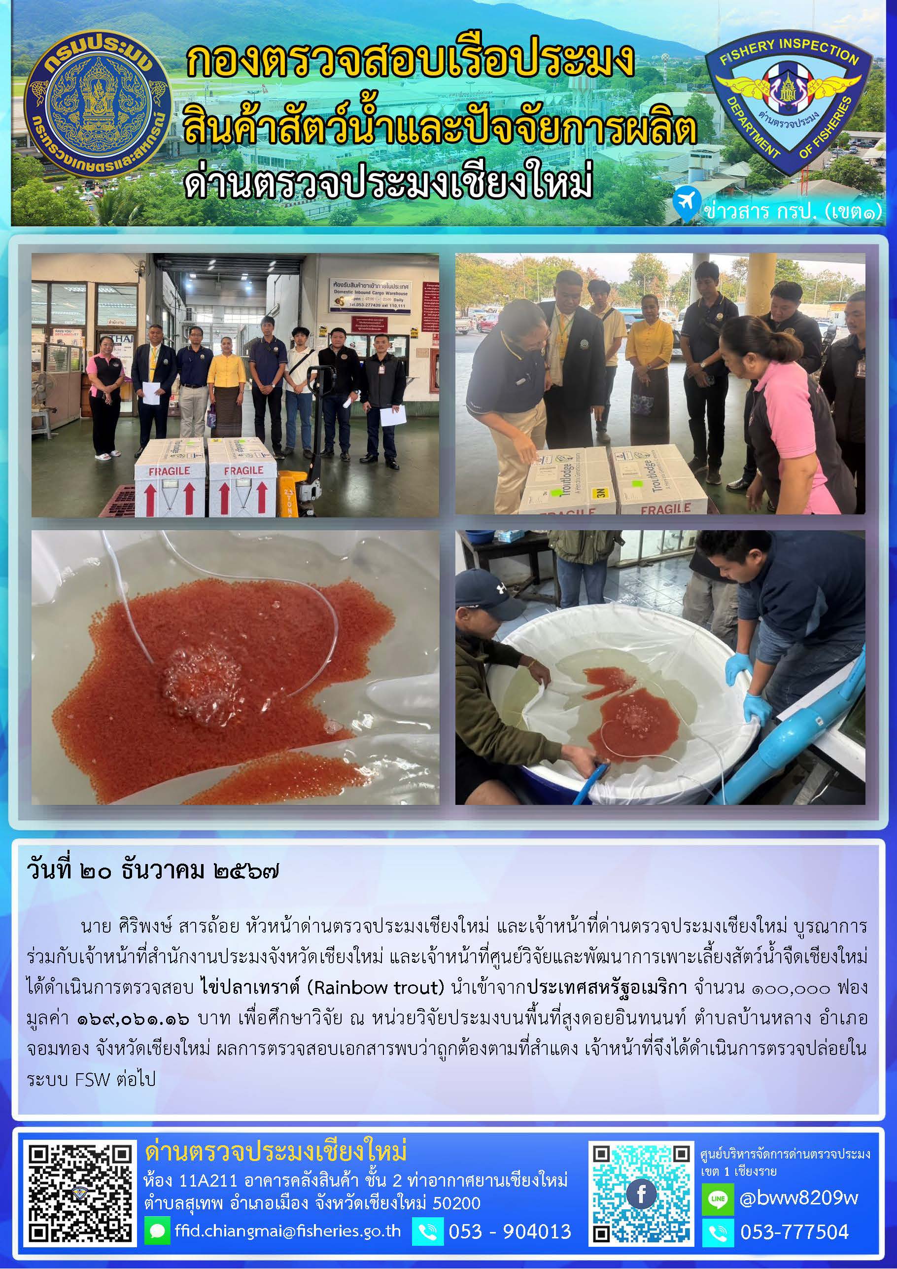 20 ธ.ค. 67 นาย ศิริพงษ์ สารถ้อย หัวหน้าด่านตรวจประมงเชียงใหม่ และเจ้าหน้าที่ด่านตรวจประมงเชียงใหม่ บูรณาการร่วมกับเจ้าหน้าที่สำนักงานประมงจังหวัดเชียงใหม่ และเจ้าหน้าที่ศูนย์วิจัยและพัฒนาการเพาะเลี้ยงสัตว์น้ำจืดเชียงใหม่ ได้ดำเนินการตรวจสอบ ไข่ปลาเทราต์ (Rainbow trout) นำเข้าจากประเทศสหรัฐอเมริกา..คลิก
