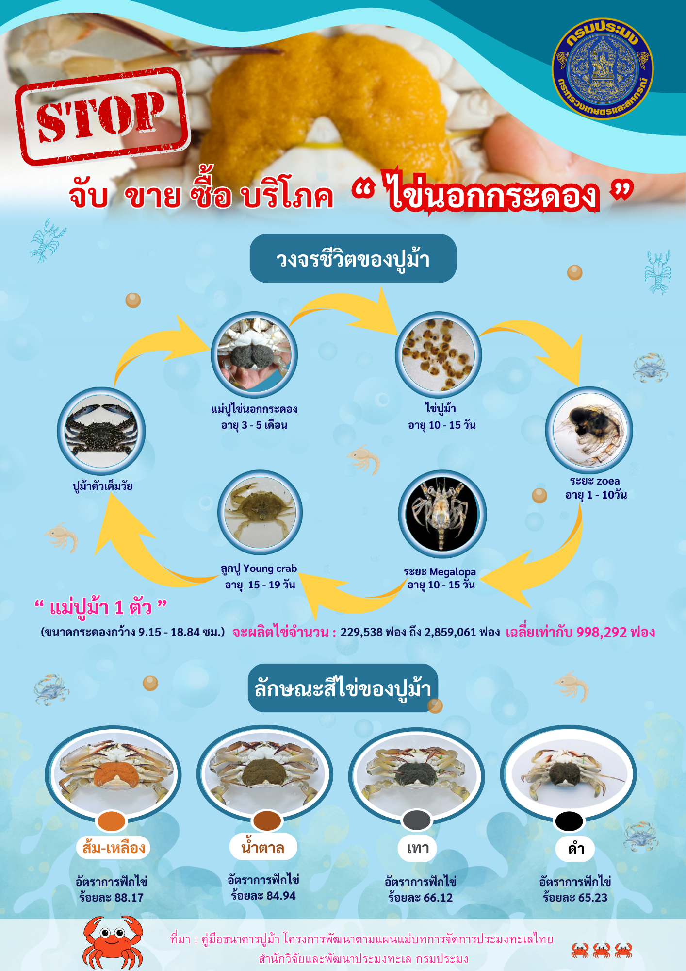 ประชาสัมพันธ์ รณรงค์ ไม่จับ ไม่ขาย ไม่ซื้อ ไม่บริโภค ปูม้าขนาดเล็ก และปูไข่นอกกระดอง..คลิก