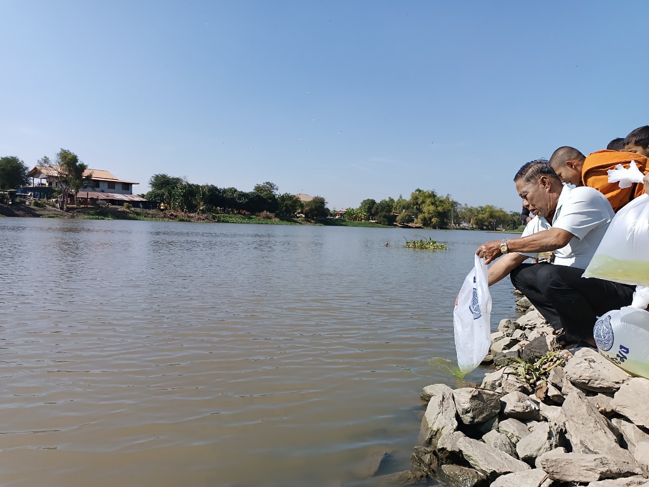 ปล่อยลูกพันธุ์สัตว์น้ำ ในโครงการบริหารจัดการด้านการประมง กิจกรรมฟื้นฟูและบริหารจัดการทรัพยากรในแหล่งน้ำสำคัญ (ทุ่งโพธิ์พระยา)..คลิก