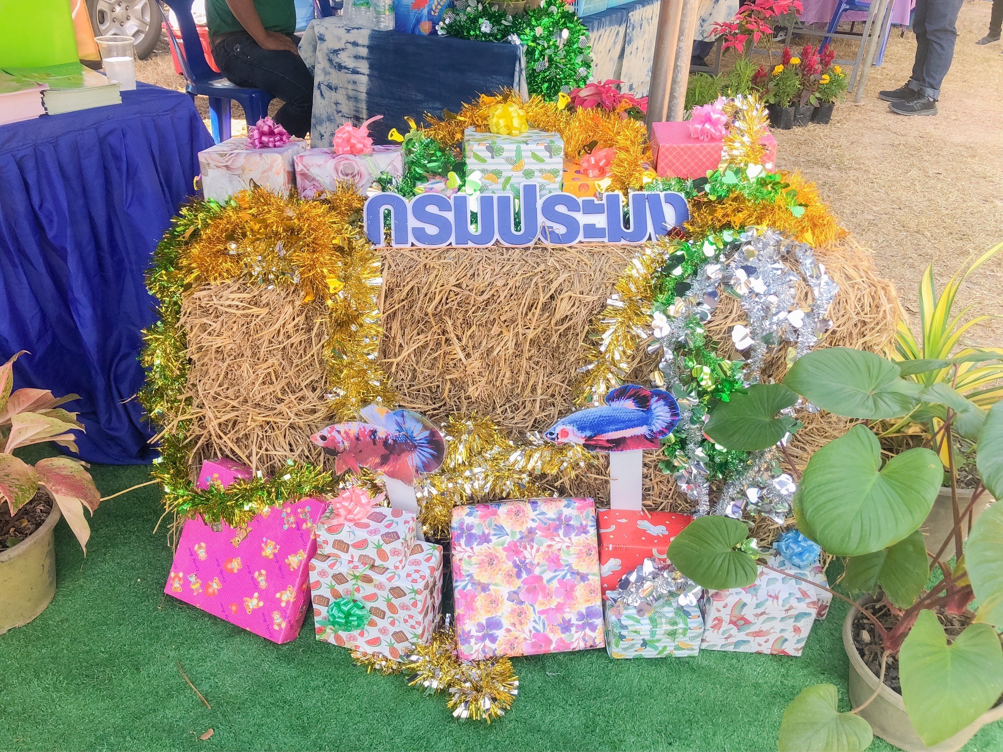 นิทรรศการโครงการส่งความสุขปีใหม่มอบให้เกษตรกร กระทรวงเกษตรและสหกรณ์ ประจำปี พ.ศ.2568..คลิก