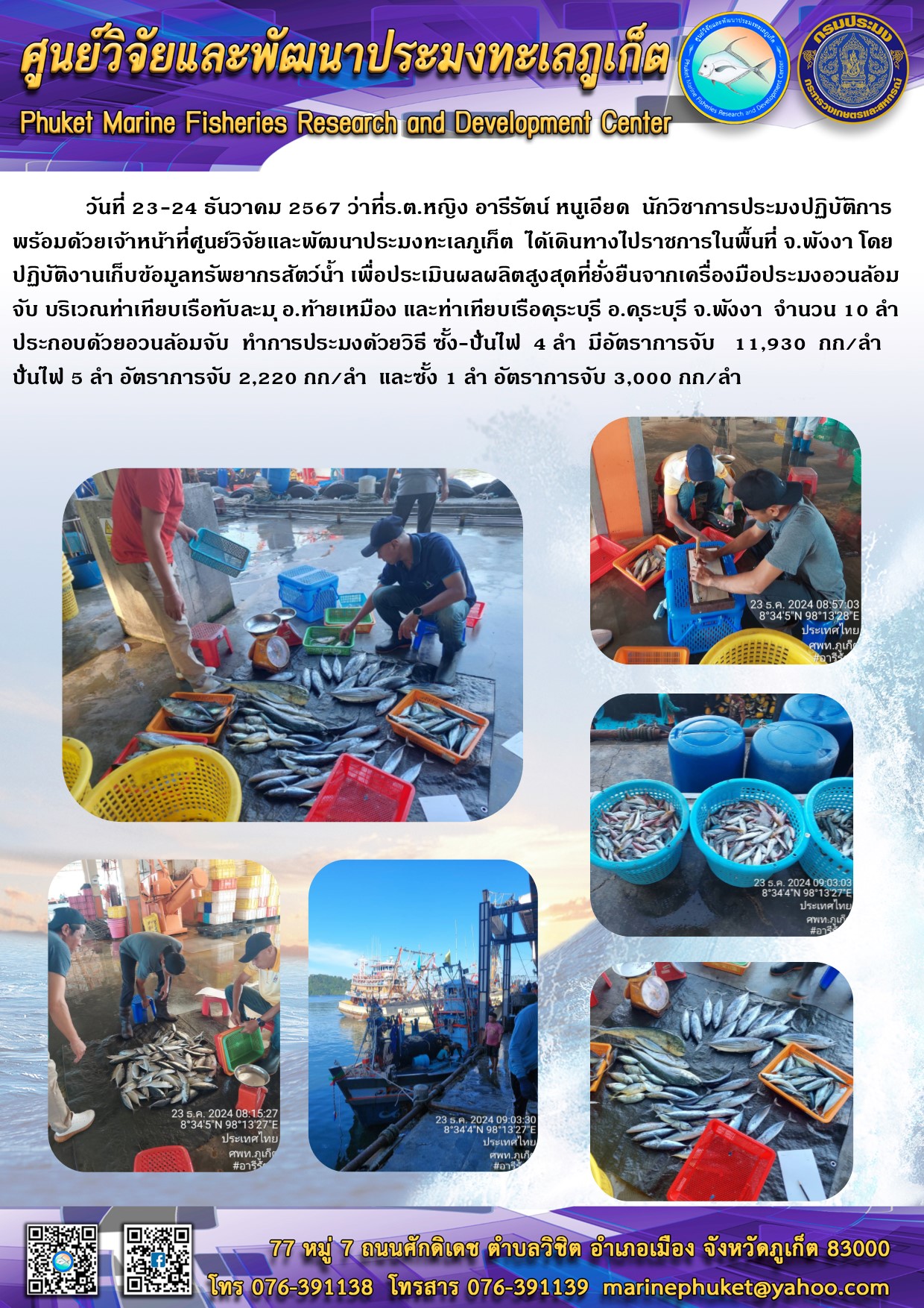 วันที่ 23-24 ธันวาคม 2567เจ้าหน้าที่ศูนย์วิจัยและพัฒนาประมงทะเลภูเก็ต  ได้เดินทางไปปฏิบัติงานเก็บข้อมูลทรัพยากรสัตว์น้ำ เพื่อประเมินผลผลิตสูงสุดที่ยั่งยืนจากเครื่องมือประมงอวนล้อมจับ บริเวณท่าเทียบเรือทับละมุ อ.ท้ายเหมือง และท่าเทียบเรือคุระบุรี อ.คุระบุรี จ.พังงา..คลิก