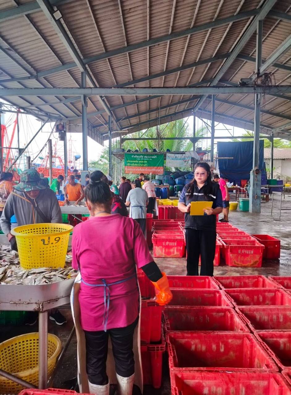 ควบคุมและตรวจสอบกระบวนการขึ้นสัตว์น้ำของเรือประมงไทย..คลิก
