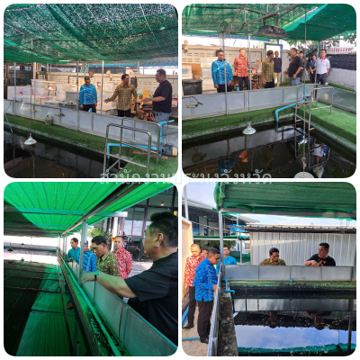 ผลการปฏิบัติงานประจำวันศุกร์ที่ 3 มกราคม 2568..คลิก