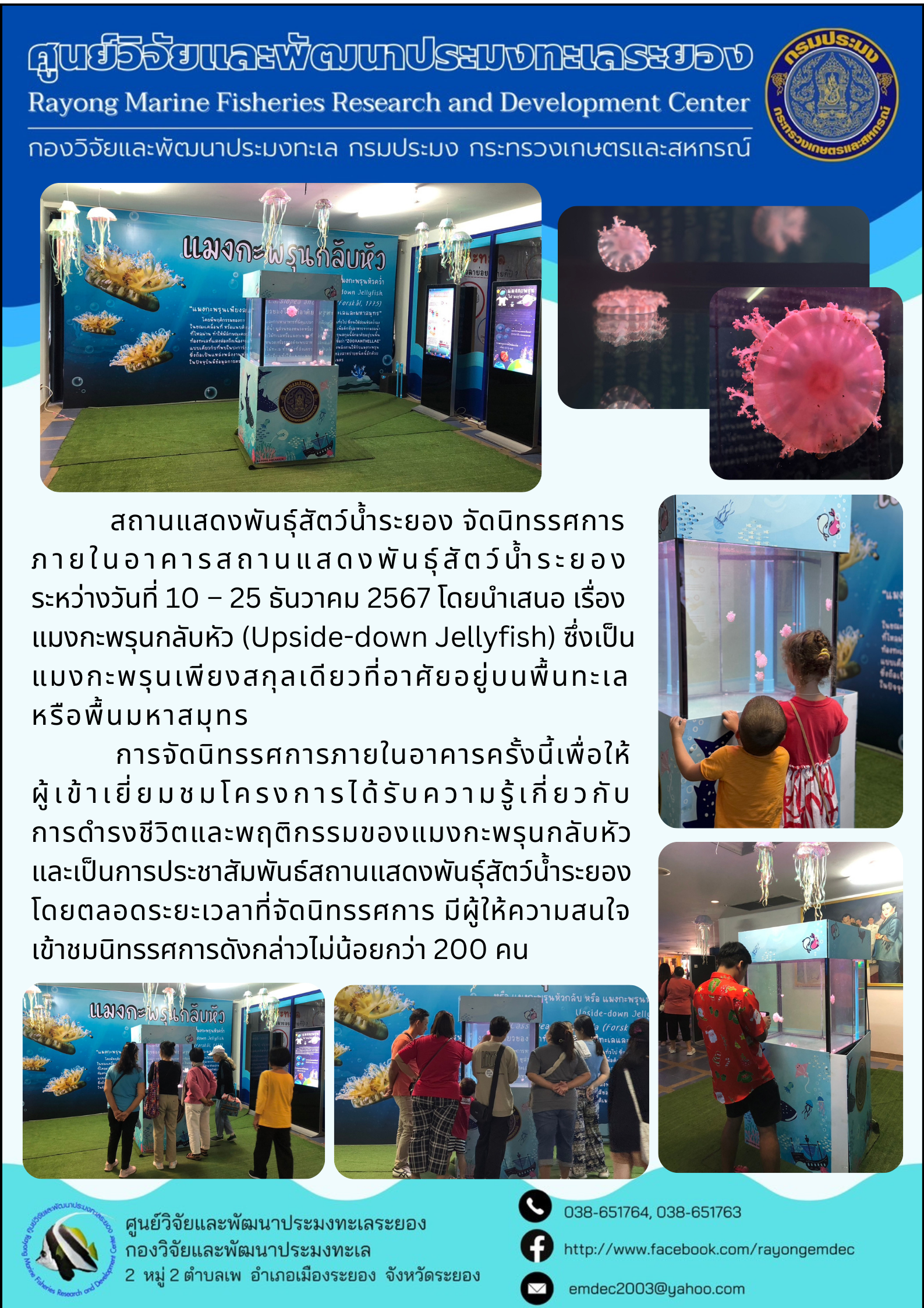 สถานแสดงพันธุ์สัตว์น้ำระยอง จัดนิทรรศการภายในอาคารสถานแสดงพันธุ์สัตว์น้ำระยองระหว่างวันที่ 10 - 25 ธันวาคม 2567 โดยนำเสนอ เรื่องแมงกะพรุนกลับหัว (Upside-down Jellyfish) ซึ่งเป็นแมงกะพรุนเพียงสกุลเดียวที่อาศัยอยู่บนพื้นทะเลหรือพื้นมหาสมุทร ฯลฯ..คลิก