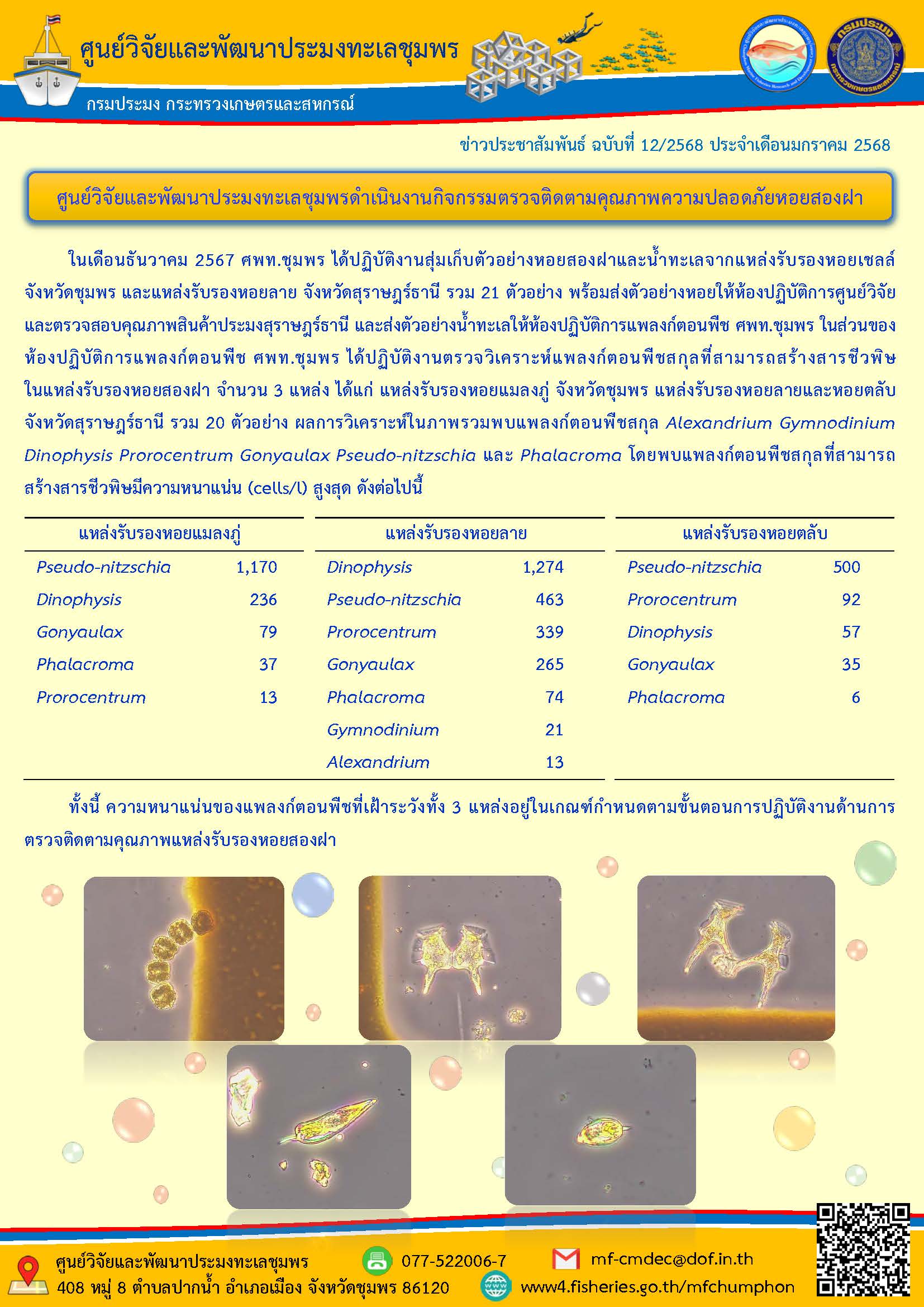 ศพท.ชุมพร ดำเนินงานกิจกรรมตรวจติดตามคุณภาพความปลอดภัยหอยสองฝา..คลิก