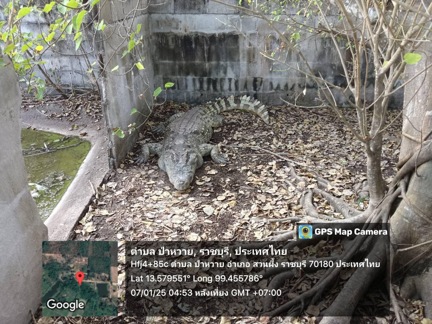 ตรวจสอบฟาร์มสัตว์น้ำตามพระราชบัญญัติสงวนและคุ้มครองสัตว์ป่าพ.ศ. 2562 (จระเข้) ประจำปี 2568..คลิก