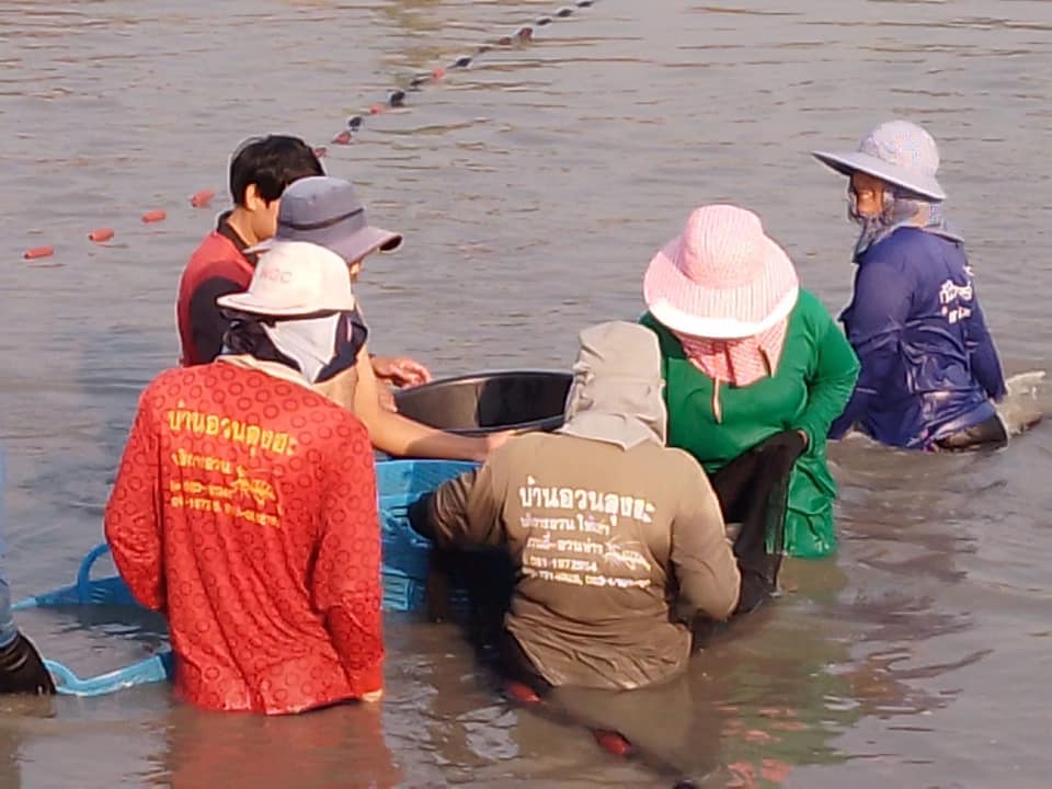 ลงพื้นที่ติดตามความก้าวหน้าของการดำเนินงานโครงการสร้างความเข้มแข็งกลุ่มการผลิตด้านประมง ประจำปีงบประมาณ พ.ศ. 2568..คลิก