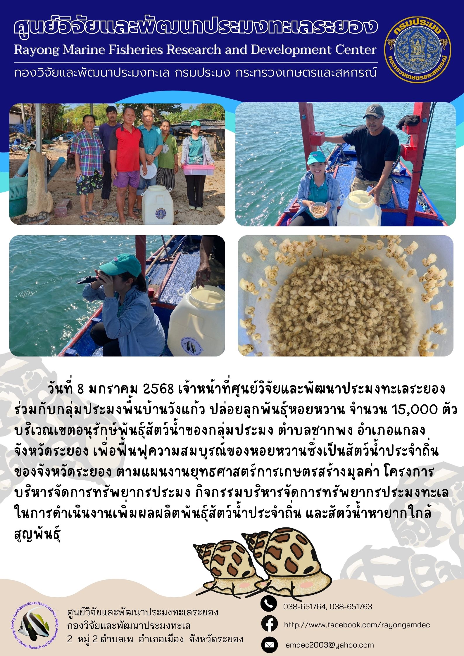 วันที่ 8 มกราคม 2568 เจ้าหน้าที่ศูนย์วิจัยและพัฒนาประมงทะเลระยอง ร่วมกับกลุ่มประมงพื้นบ้านวังแก้ว ปล่อยลูกพันธุ์หอยหวาน จำนวน 15,000 ตัวบริเวณเขตอนุรักษ์พันธุ์สัตว์น้ำของกลุ่มประมง ตำบลชากพง อำเภอแกลง จังหวัดระยอง ฯลฯ
