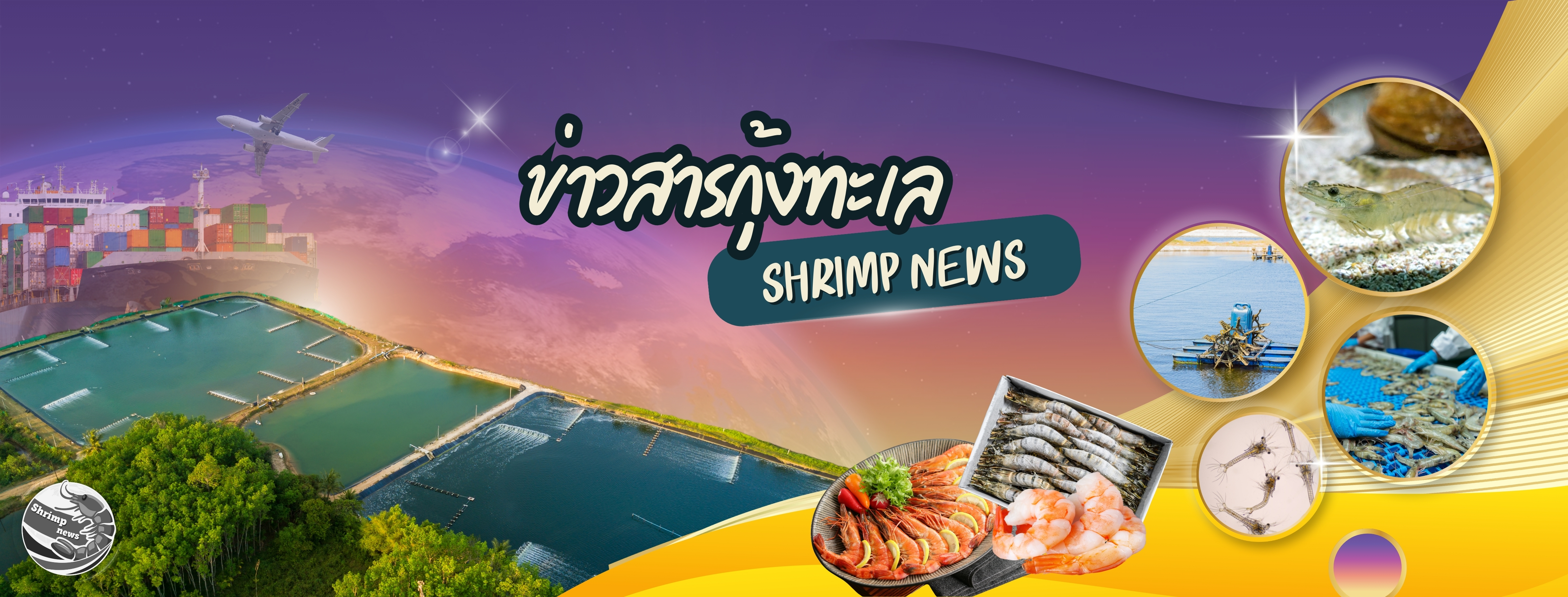 ปกอัพเดท 1