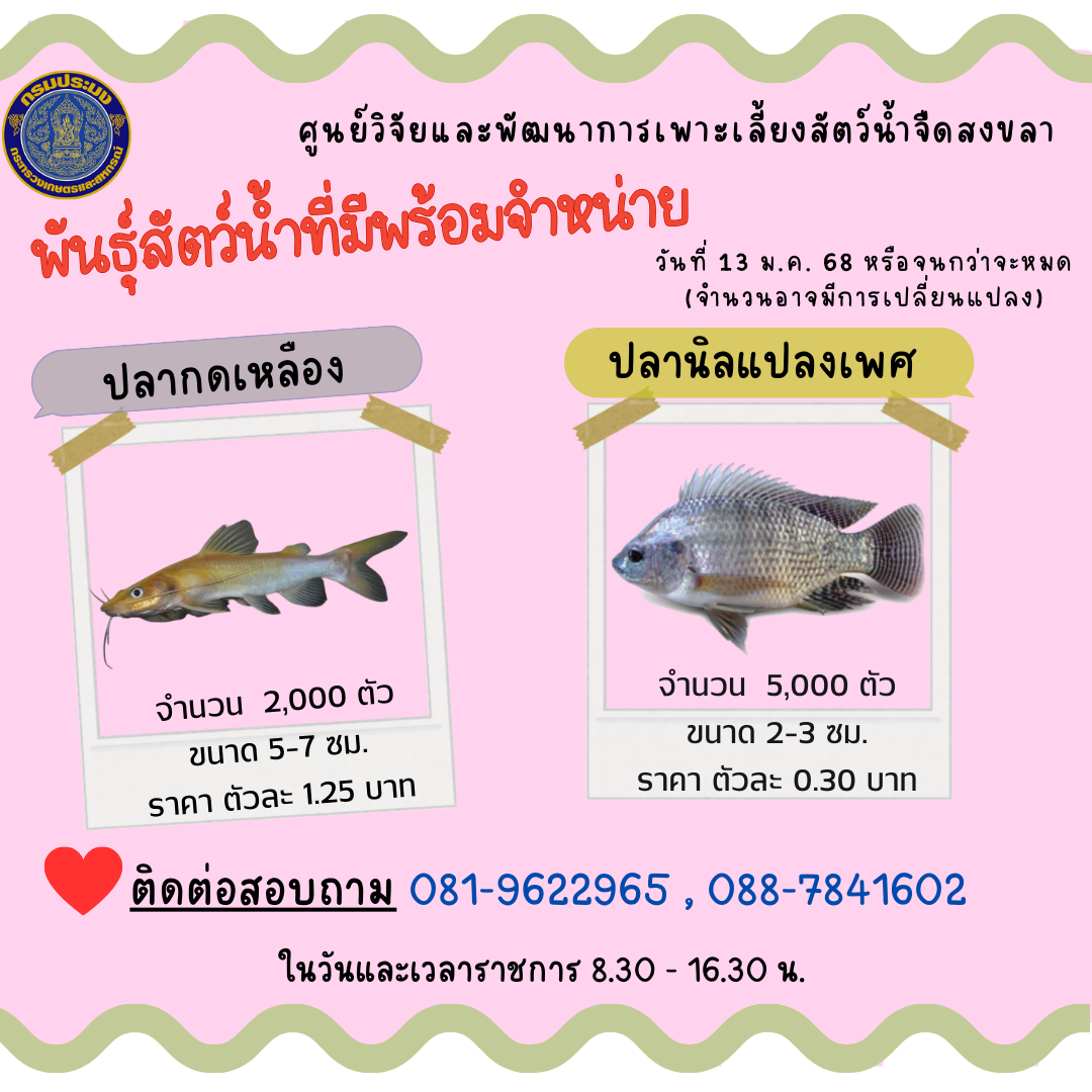 พันธุ์สัตว์น้ำพร้อมจำหน่าย