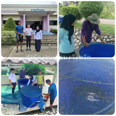 ผลการปฏิบัติงานประจำวันจันทร์ที่ 13 มกราคม 2568..คลิก