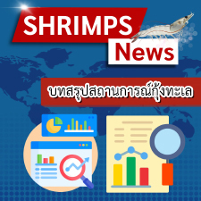 Executive Summary Report ฉบับที่ 1/2567 สรุปสถานการณ์กุ้งต่างประเทศ เอกวาดอร์ อินเดีย และเวียดนาม