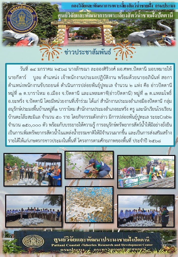 กิจกรรมปล่อยพันธุ์ปูทะเล จำนวน 150,000 ตัว  บริเวณอ่าวปัตตานี ม.1 ต.แหลมโพธิ์ อ.ยะหริ่งและม.1 ต.บาราโหม อ.เมือง จ.ปัตตานี..คลิก