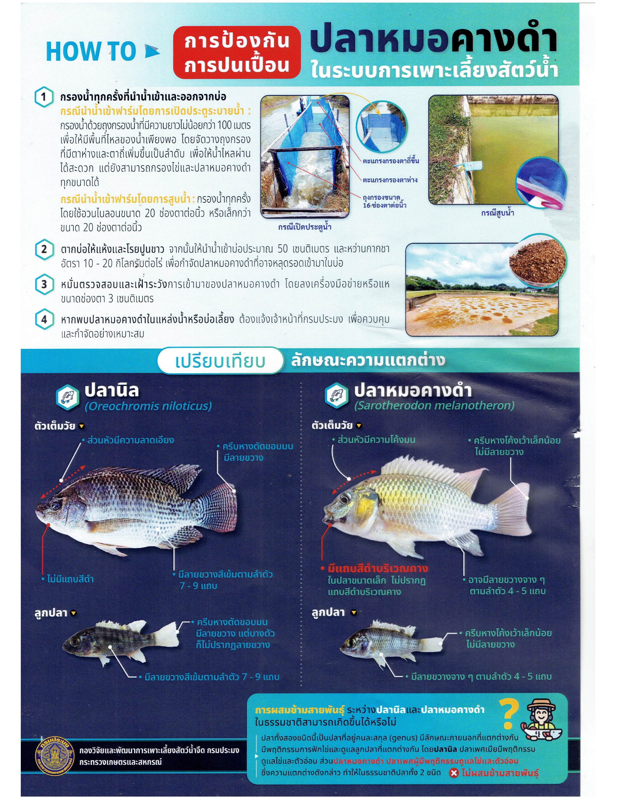 HOW TO การป้องกันการปนเปื้อน ปลาหมอคางดำในระบบการเพาะเลี้ยงสัตว์น้ำแนวทางการป้องกัน..คลิก