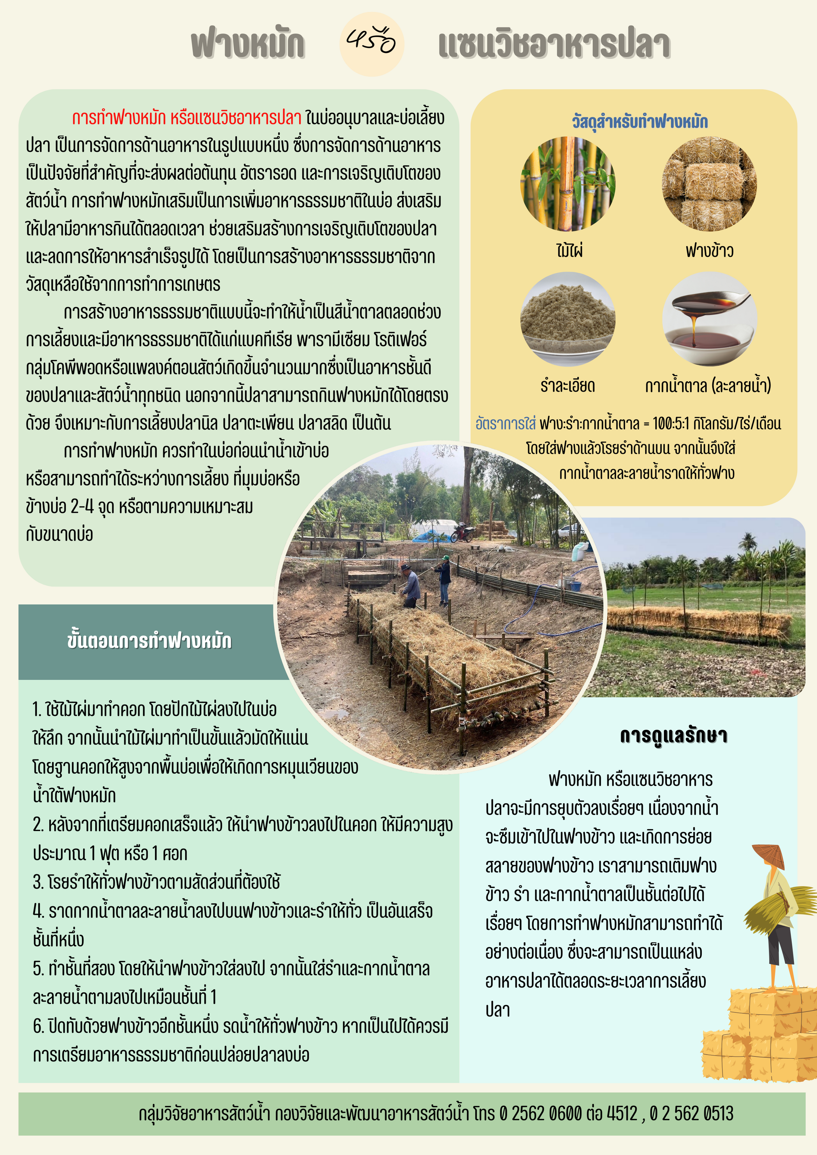 ฟางหมักหรือแซนวิชอาหารปลา..คลิก
