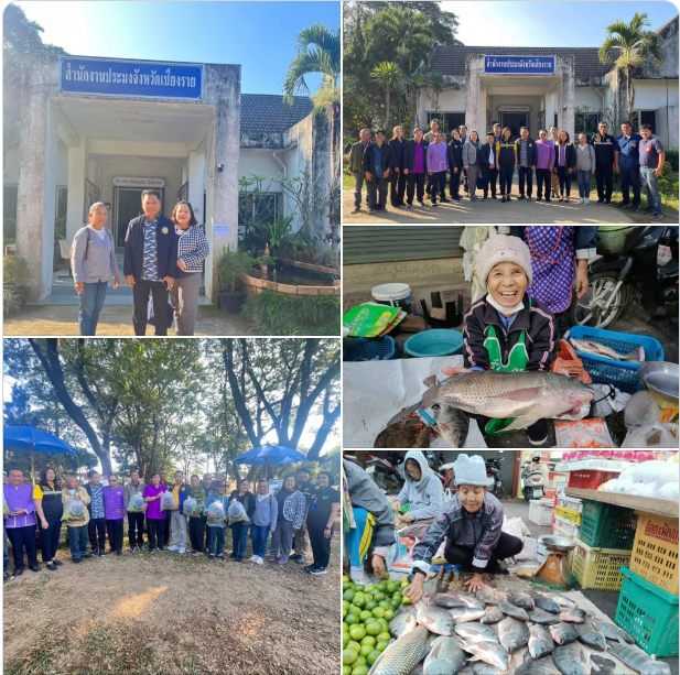ผู้อำนวยกลุ่มพัฒนาระบบบริหาร ร่วมกิจกรรมตามโครงการส่งความสุขปีใหม่ให้กับเกษตรกร..คลิก