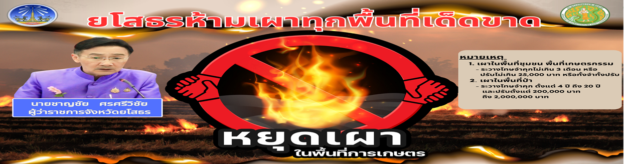 ยโสธรห้ามเผาทุกพื้นที่เด็ดขาด..คลิก