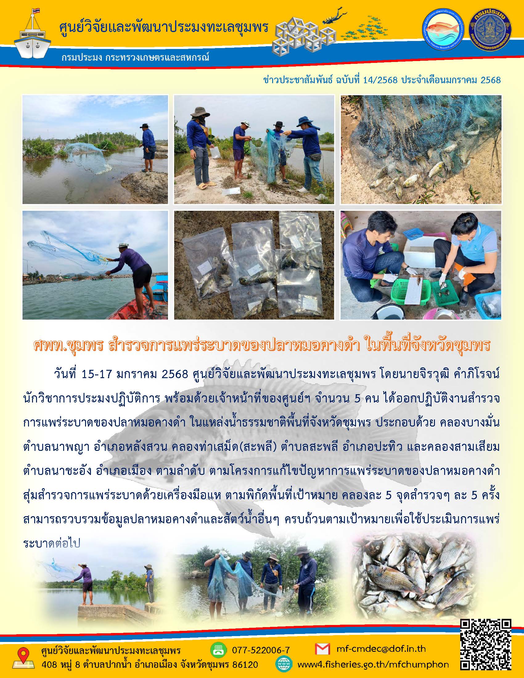 ศพท.ชุมพร สำรวจการแพร่ระบาดของปลาหมอคางดำ ในพื้นที่จังหวัดชุมพร..คลิก