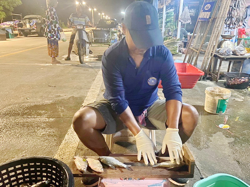 ดำเนินการประเมินสภาวะทรัพยากรสัตว์น้ำ ในพื้นที่ทะเลน้อยจังหวัดพัทลุง..คลิก
