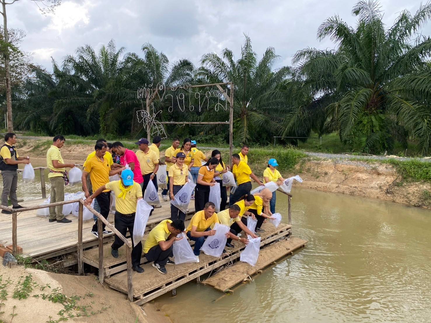 ประมงอำเภอป่าบอน ร่วมกับกำนันผู้ใหญ่บ้าน เจ้าหน้าที่องค์การบริหารส่วนตำบลวังใหม่ และประชาชนทั่วไป ปล่อยพันธุ์สัตว์น้ำ จำนวน 50,000 ตัว ลงสู่แหล่งน้ำ เพื่อเพิ่มผลผลิตสัตว์น้ำ และแหล่งอาหารโปรตีนสำหรับชุมชน ณ คลองวังหยี  หมู่ 5 ตำบลวังใหม่ อำเภอป่าบอน จังหวัดพัทลุง..คลิก