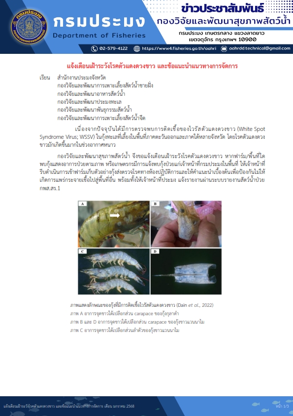 แจ้งเตือนเฝ้าระวังโรคตัวแดงดวงขาว และข้อแนะนำแนวทางการจัดการโรค!!!..คลิก