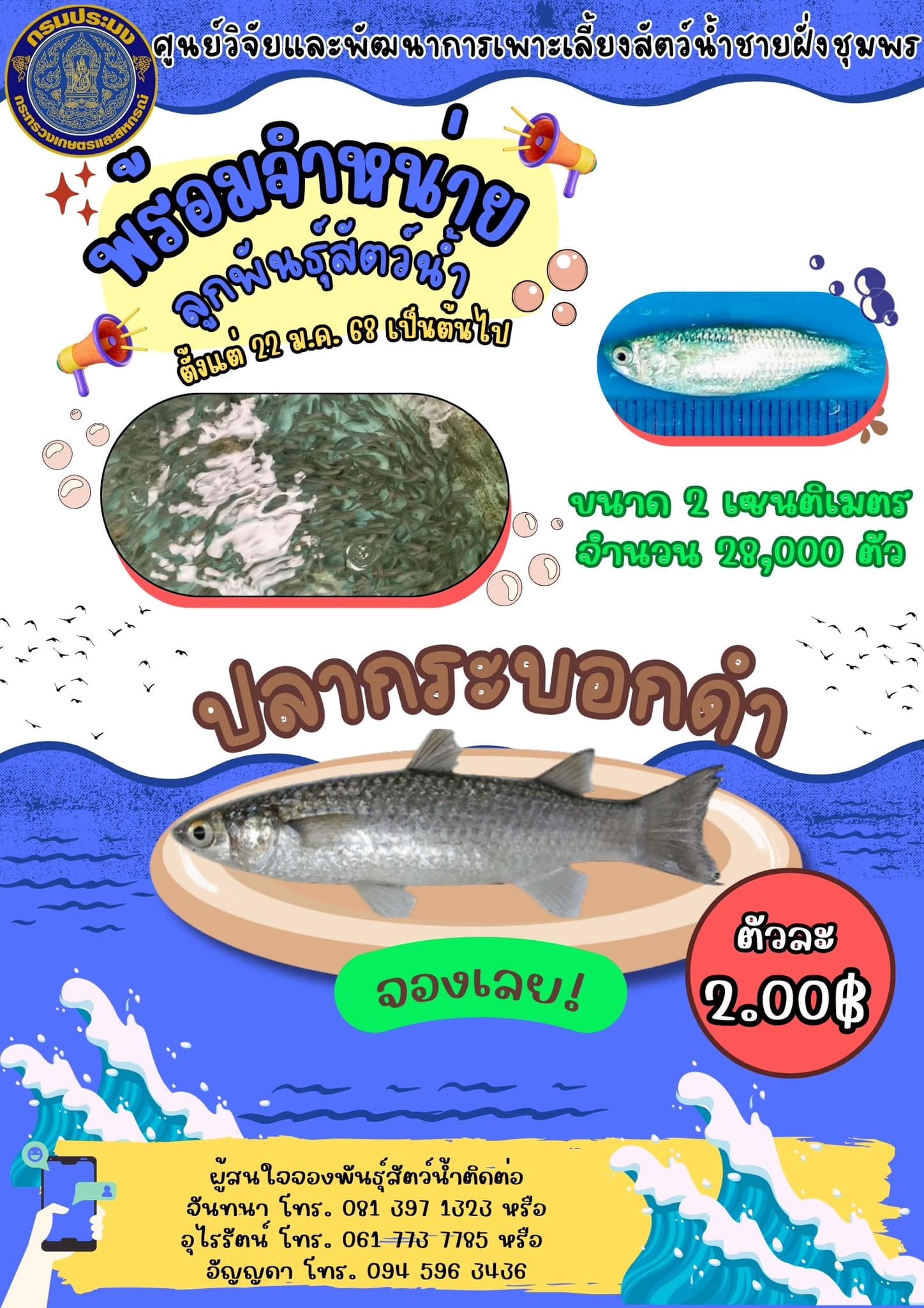 ศพช.ชุมพร ขอประชาสัมพันธ์สัตว์น้ำพร้อมจำหน่าย