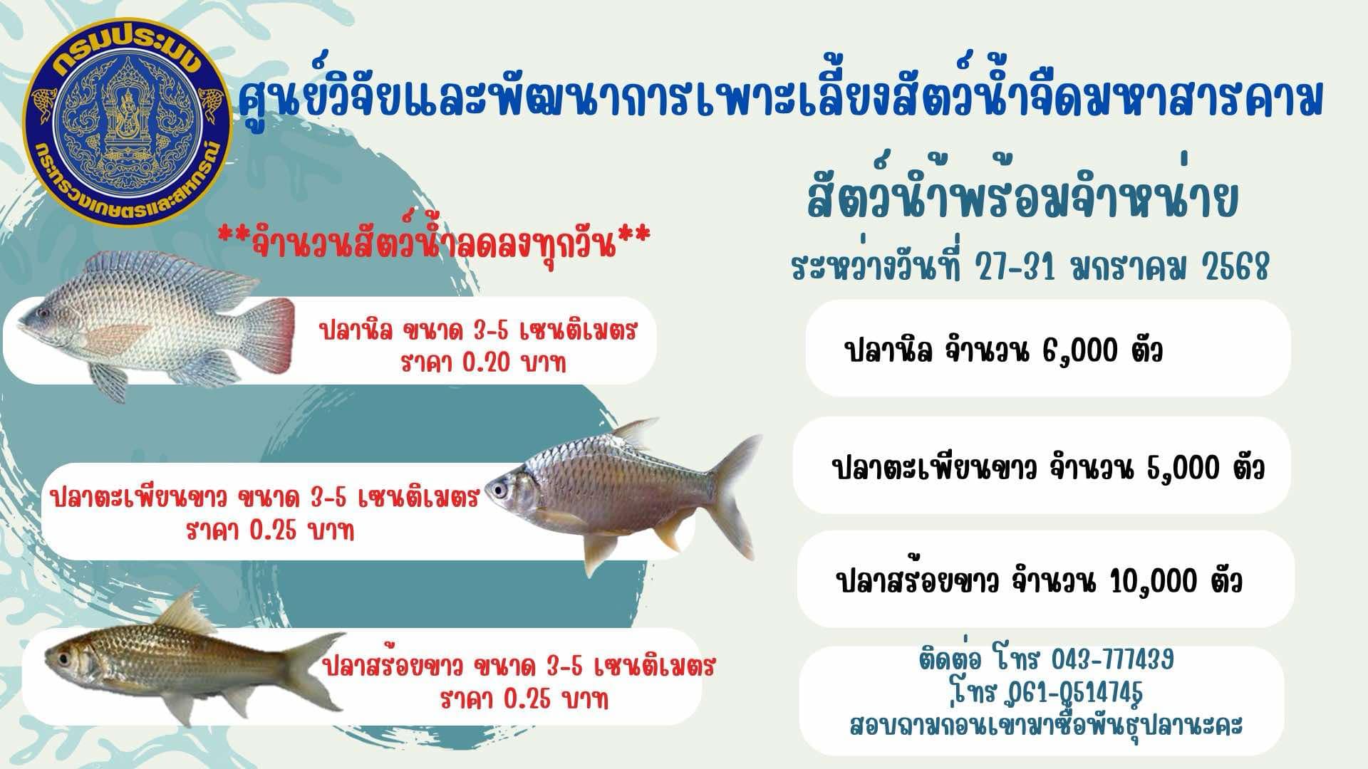 ชนิดพันธุ์สัตว์น้ำพร้อมจำหน่าย ระหว่างวันที่ 27-31 มกราคม 2568