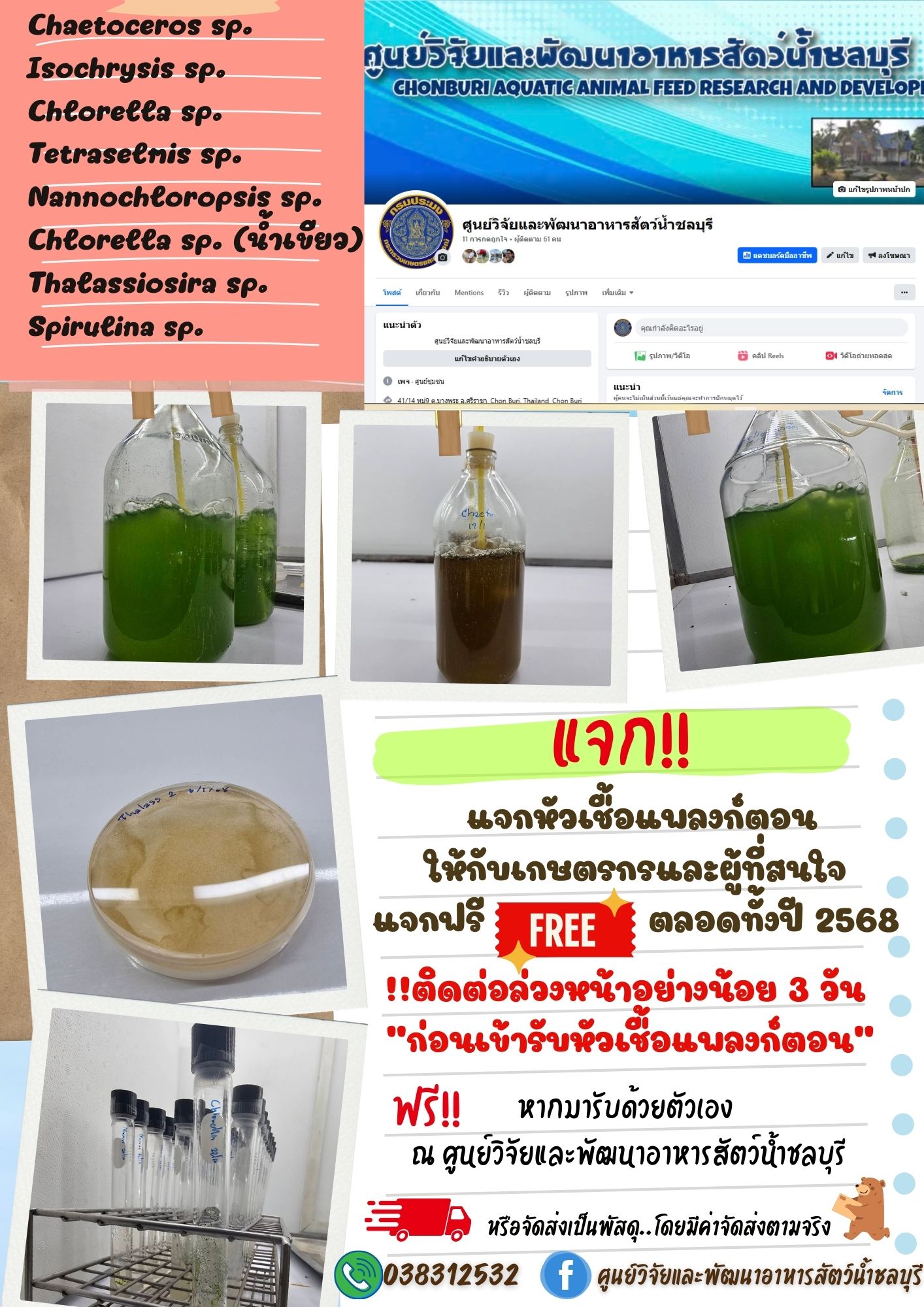 ข่าวประชาสัมพันธ์ : แจกหัวเชื้อแพลงก์ตอน ให้กับเกษตรกรและผู้ที่สนใจ 