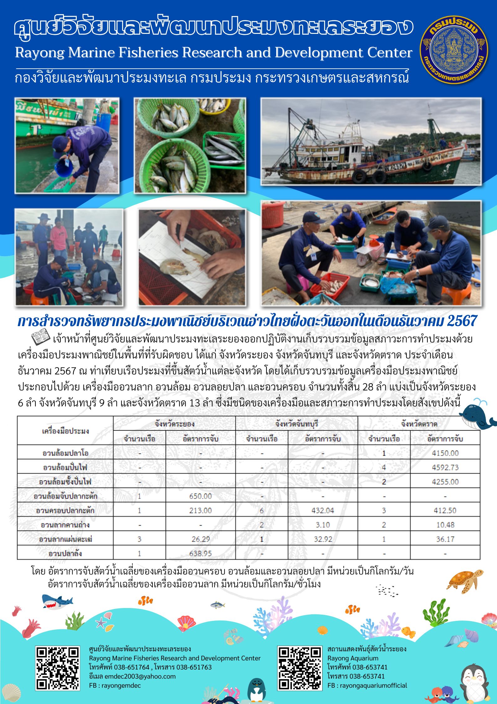 การสำรวจทรัพยากรประมงพาณิชย์บริเวณอ่าวไทยฝั่งตะวันออกในเดือนธันวาคม 2567