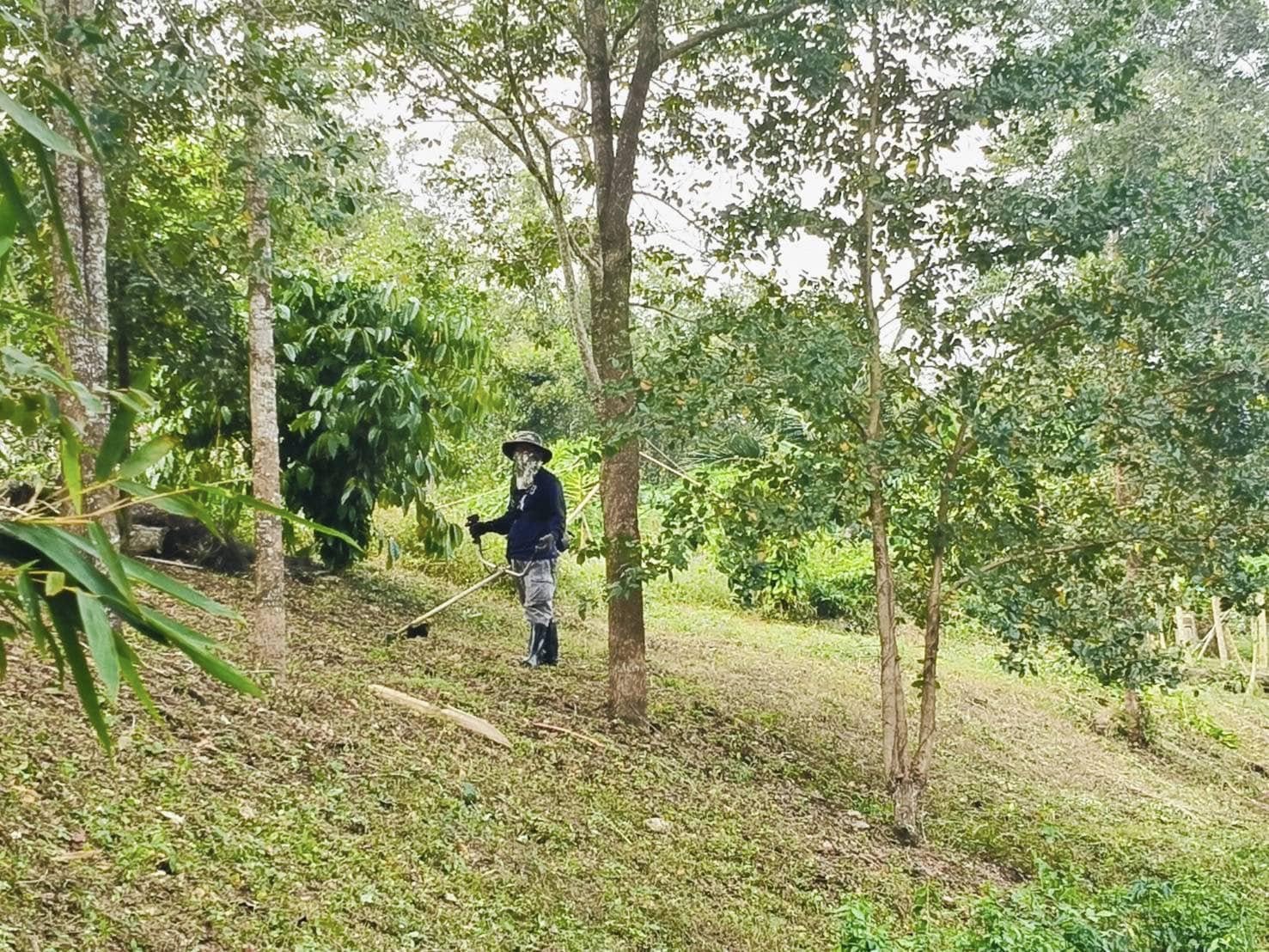 ศูนย์ป้องกันและปราบปรามประมงน้ำจืดสุราษฎร์ธานี ปรับปรุงภูมิทัศน์พื้นที่สำนักงาน และพื้นที่รอบศูนย์ฯ..คลิก