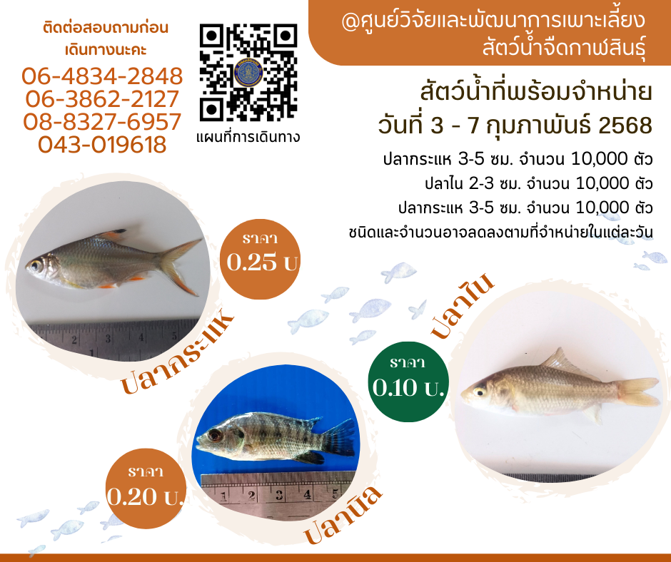 ลูกพันธุ์สัตว์น้ำพร้อมจำหน่าย 3-7 กุมภาพันธ์ 2568